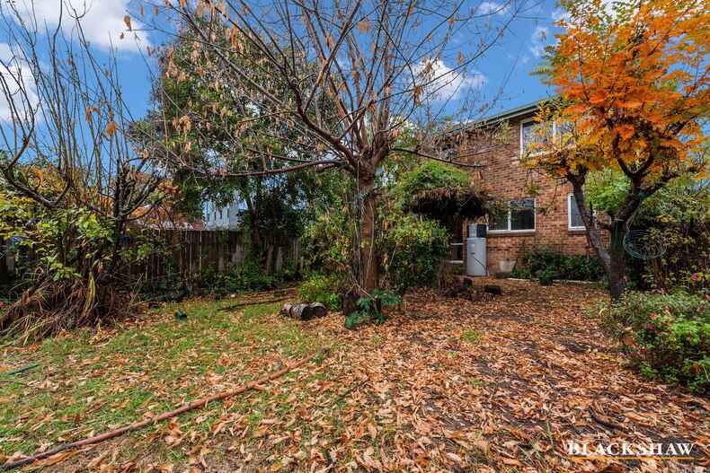 31 Lowrie Street Dickson 31 Lowrie Street Dickson