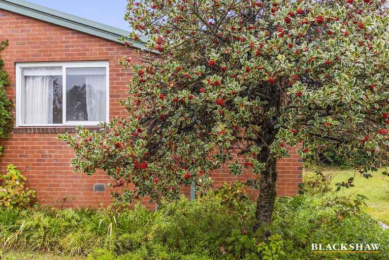 76 Blamey Crescent Campbell