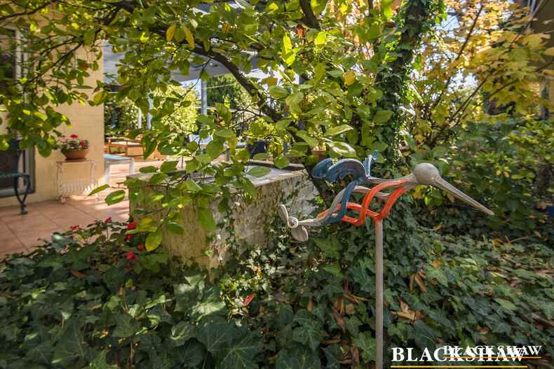 42 Yiman Street Waramanga 42 Yiman Street Waramanga