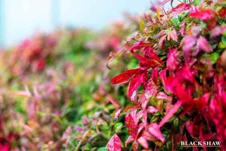 20 Doyle Place Karabar 20 Doyle Place Karabar