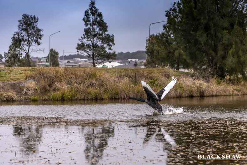 3 Volpato Street Forde 3 Volpato Street Forde