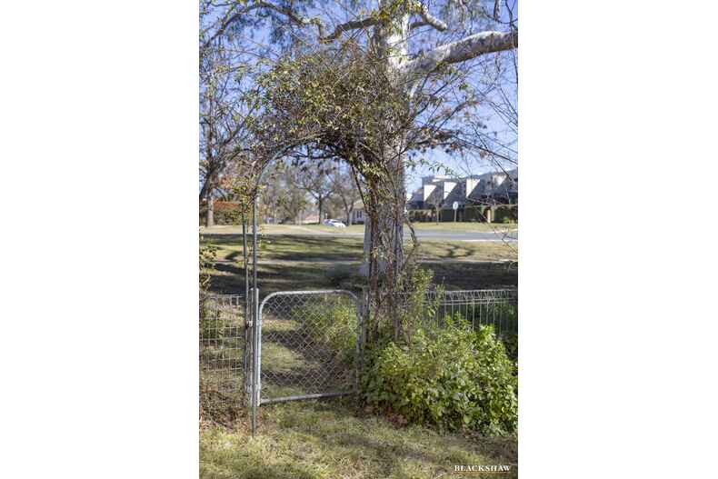 85 Stuart Street Narrabundah 85 Stuart Street Narrabundah