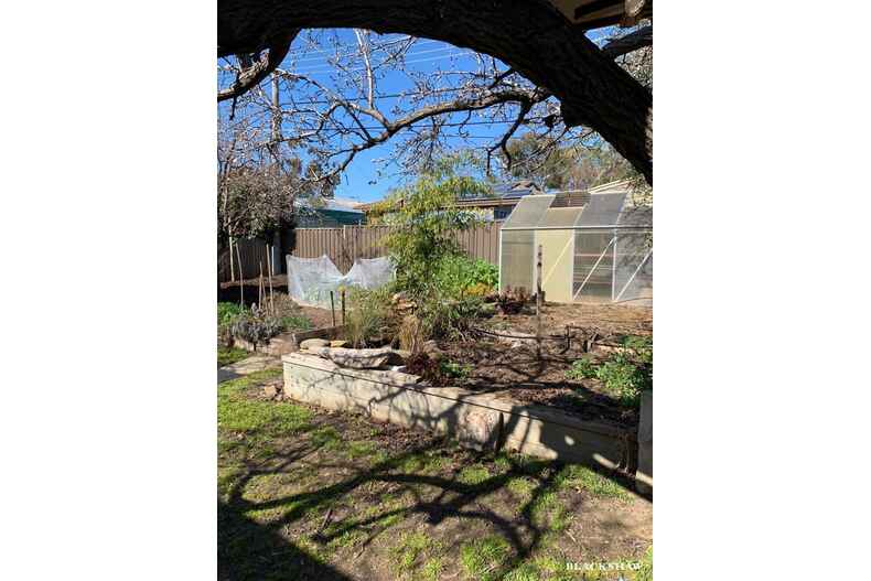 38 Angophora Street Rivett 38 Angophora Street Rivett