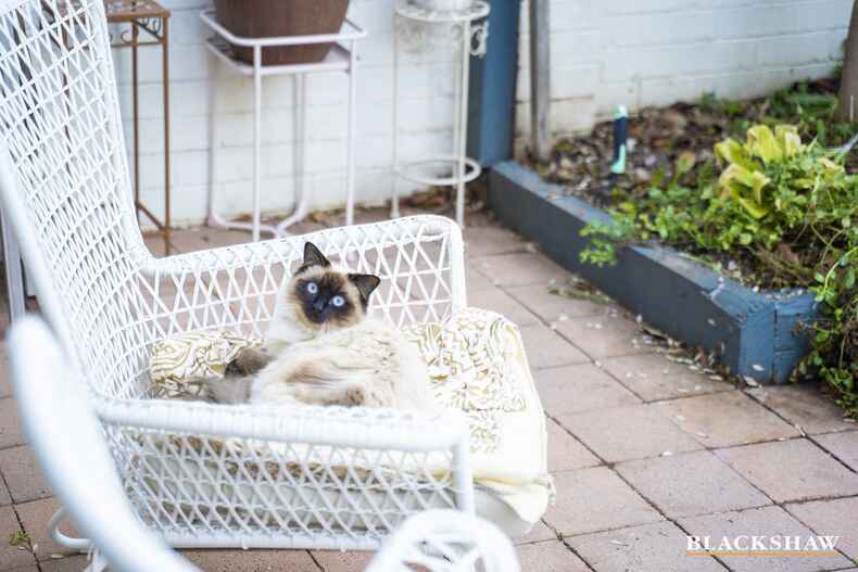 8/1 Hakea Street Karabar 8/1 Hakea Street Karabar