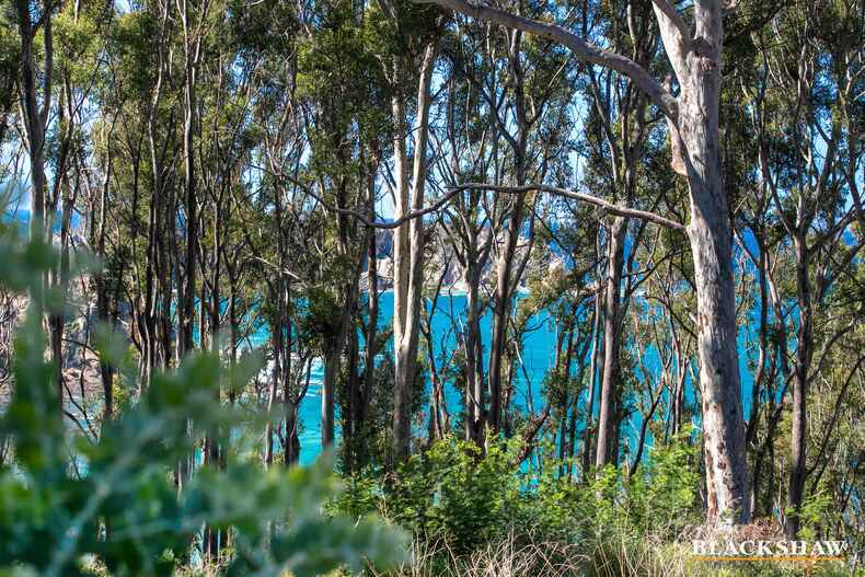 9 Dale Place Rosedale