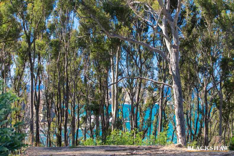 9 Dale Place Rosedale