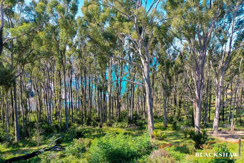 9 Dale Place Rosedale