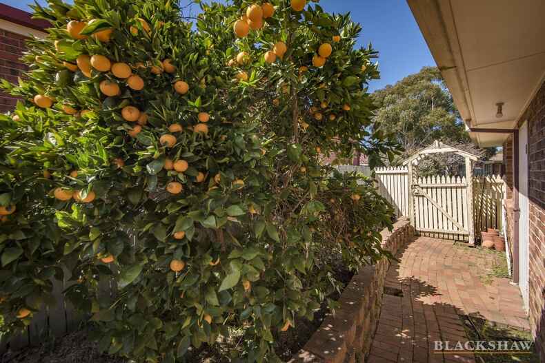 12 Whitford Place Conder 12 Whitford Place Conder