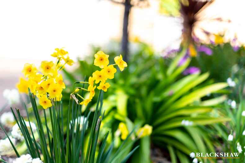 11 Mcgowen Close Spence