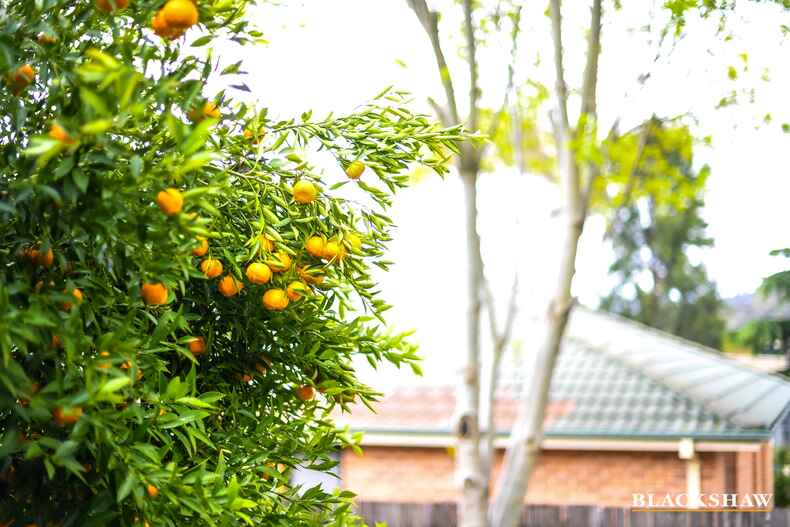 5 Kohlhagen Street Conder 5 Kohlhagen Street Conder