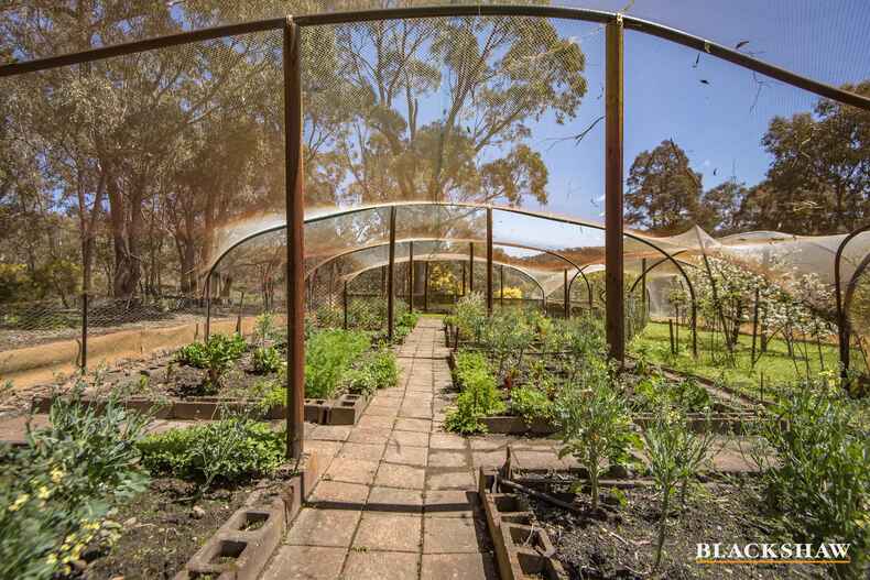 58 Birchmans Grove Wamboin 58 Birchmans Grove Wamboin