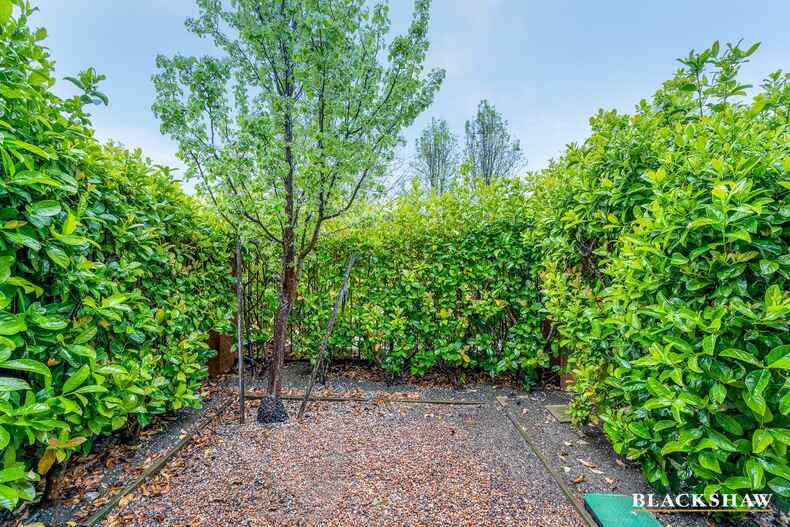 10/10 Charles Perkins Circuit Bonner 10/10 Charles Perkins Circuit Bonner