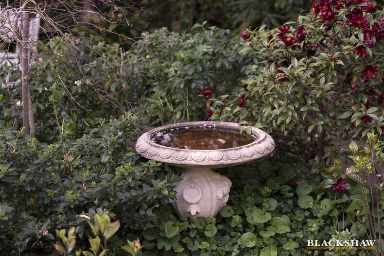 21 Euree Street Reid 21 Euree Street Reid