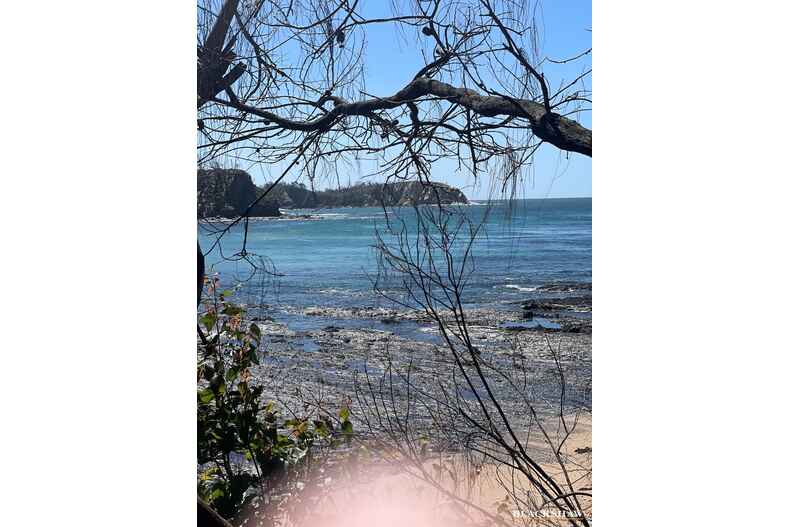 9 Dale Place Rosedale