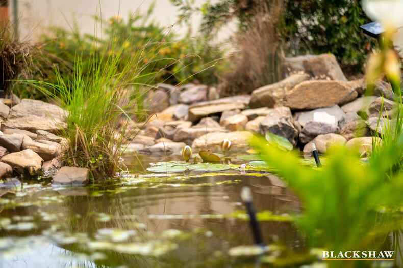 30 Broadbent Street Scullin