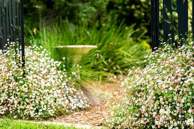 30 Broadbent Street Scullin