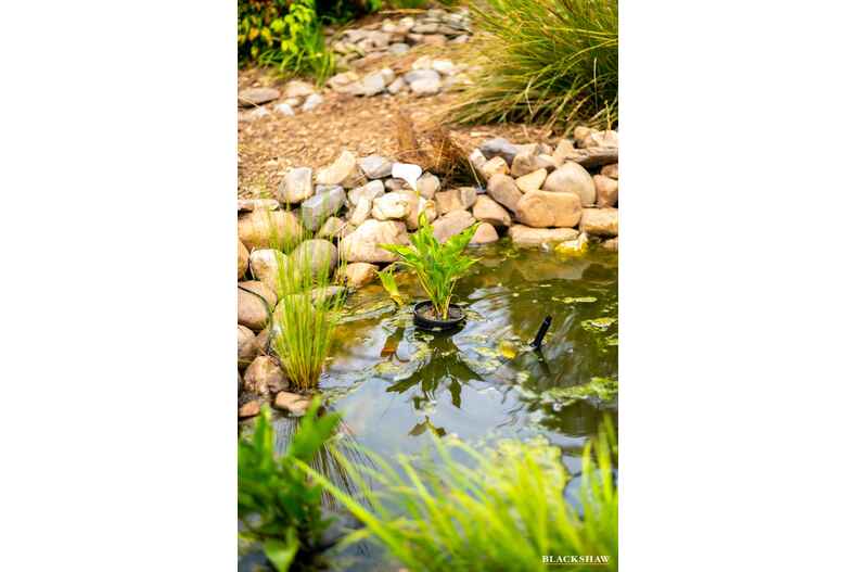 30 Broadbent Street Scullin