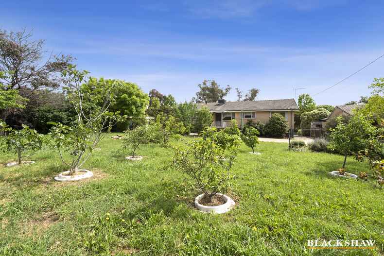 106 Shumack Street Weetangera 106 Shumack Street Weetangera