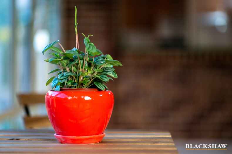 5 Freeling Crescent Palmerston 5 Freeling Crescent Palmerston