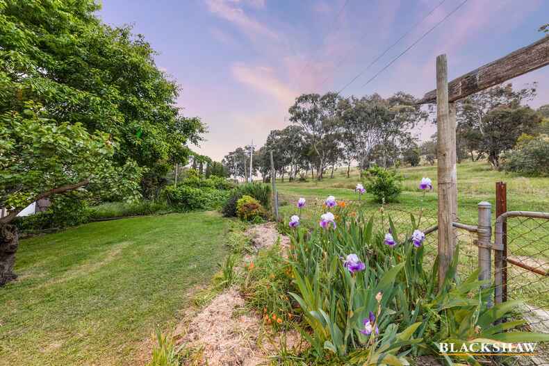 133 Gouger Street Torrens