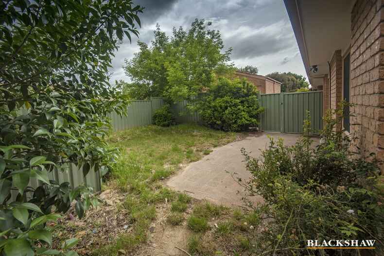 11/18 Kenyon Circuit Monash 11/18 Kenyon Circuit Monash