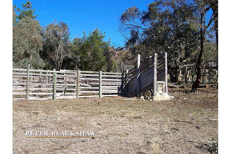 115 Keewong Lane Burra