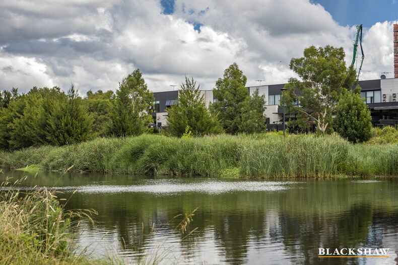 55 Cynthea Teague Crescent Greenway 55 Cynthea Teague Crescent Greenway