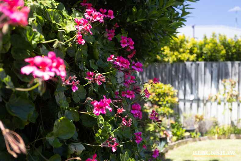 4 Bagarin Avenue Tomakin 4 Bagarin Avenue Tomakin