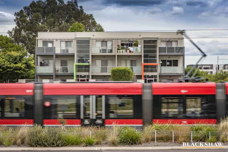 32/75 Elizabeth Jolley Crescent Franklin 32/75 Elizabeth Jolley Crescent Franklin