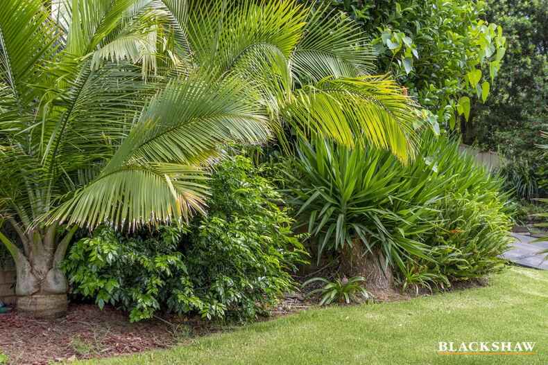 13 Gibson Place Batehaven