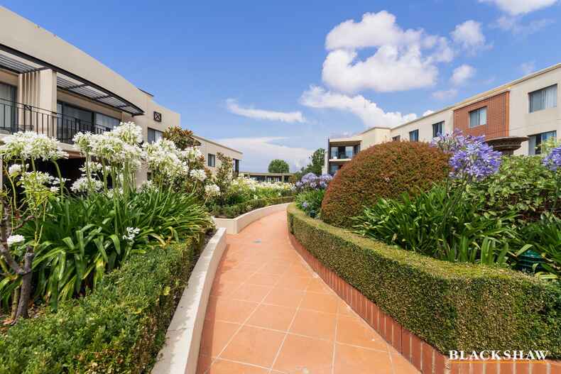 165/8 Jardine Street Kingston 165/8 Jardine Street Kingston