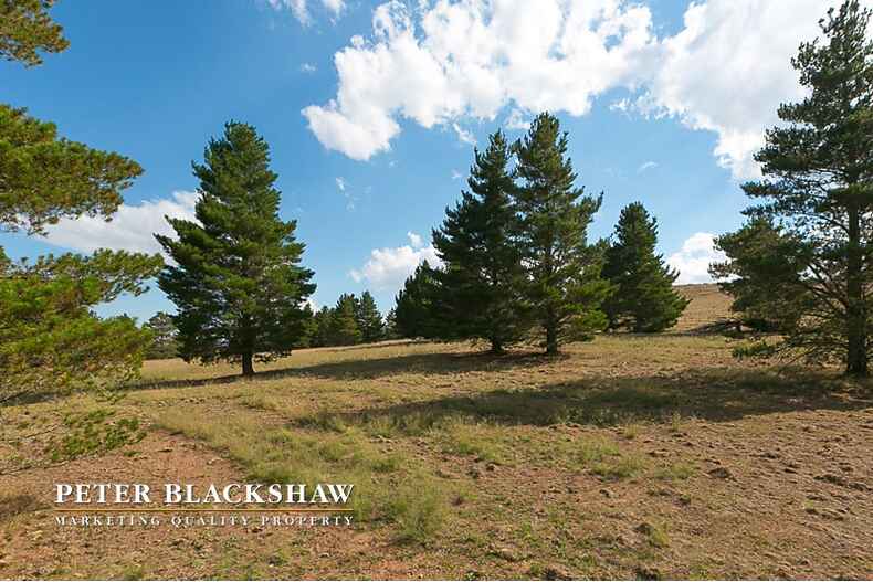 Lot 1/350 Micalago Road Michelago