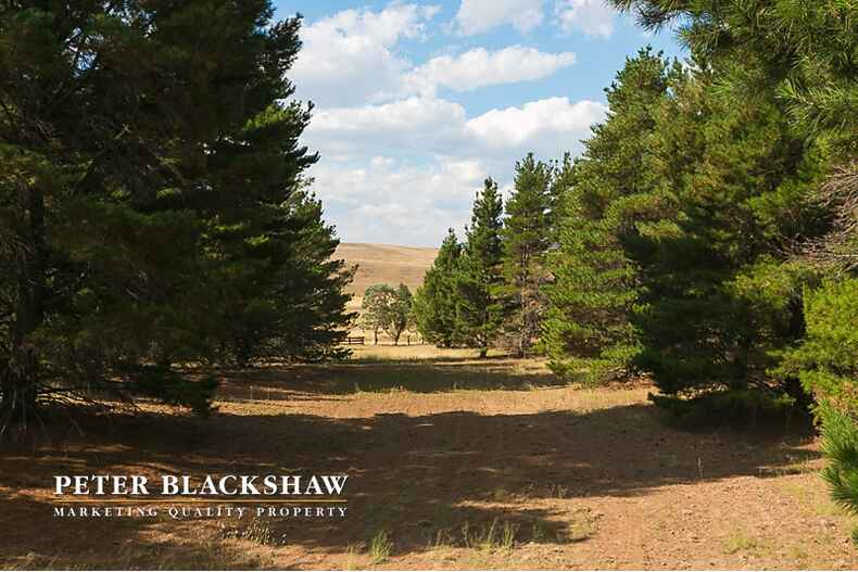 Lot 1/350 Micalago Road Michelago