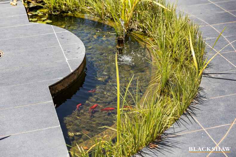 163/45 Catalano Street Wright 163/45 Catalano Street Wright