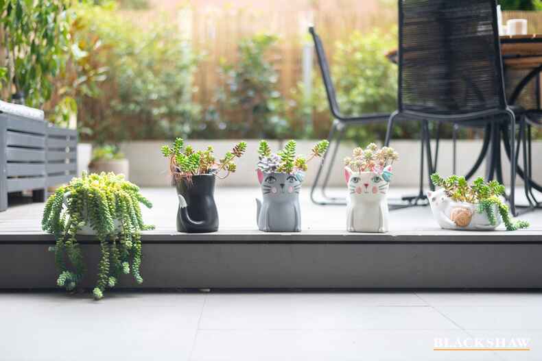 2/37 Chandler Street Belconnen 2/37 Chandler Street Belconnen