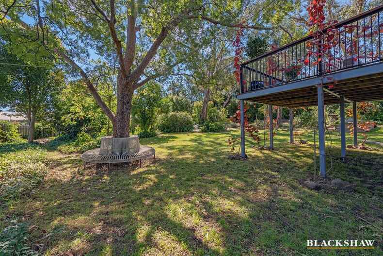 11 Hoadley Street Mawson 11 Hoadley Street Mawson