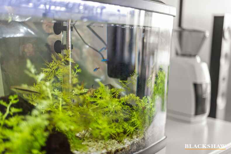 27/39 Chandler Street Belconnen 27/39 Chandler Street Belconnen