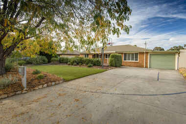 31 Percival Street Holder