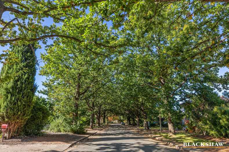 37 Durack Street Downer 37 Durack Street Downer