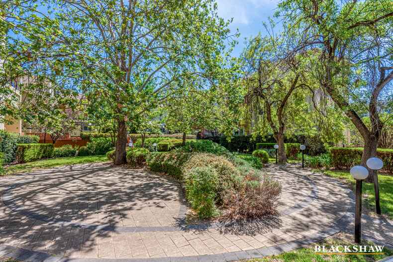 12/10 Dominion Circuit Forrest 12/10 Dominion Circuit Forrest