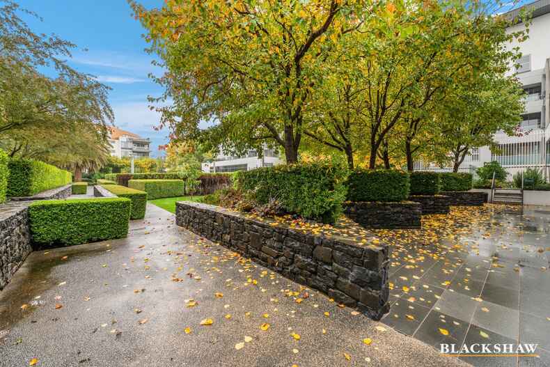 3/49 Printers Way Kingston