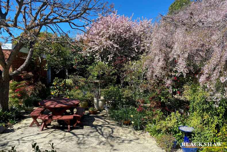 26 MacDonnell Street Yarralumla 26 MacDonnell Street Yarralumla