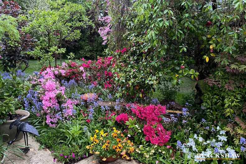 26 MacDonnell Street Yarralumla 26 MacDonnell Street Yarralumla