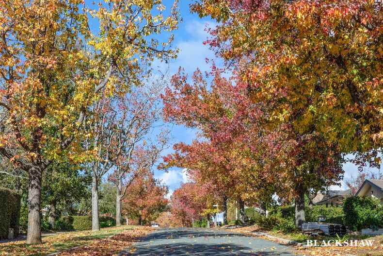 47 MacDonnell Street Yarralumla 47 MacDonnell Street Yarralumla