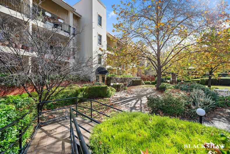 43/7 Empire Circuit Forrest 43/7 Empire Circuit Forrest