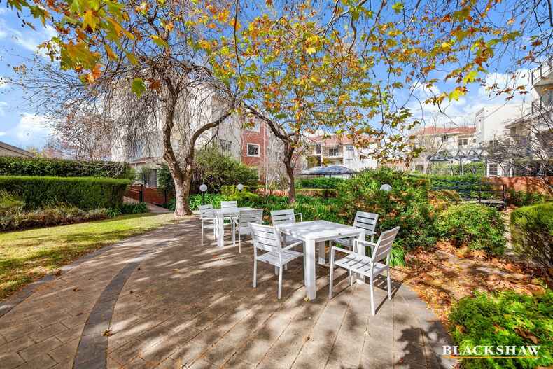 43/7 Empire Circuit Forrest 43/7 Empire Circuit Forrest