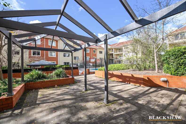 43/7 Empire Circuit Forrest 43/7 Empire Circuit Forrest