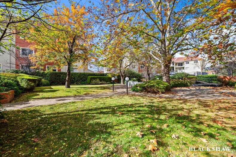 43/7 Empire Circuit Forrest 43/7 Empire Circuit Forrest