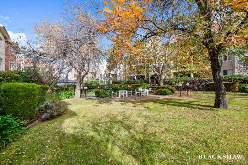 43/7 Empire Circuit Forrest 43/7 Empire Circuit Forrest