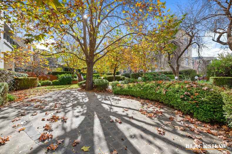 43/7 Empire Circuit Forrest 43/7 Empire Circuit Forrest